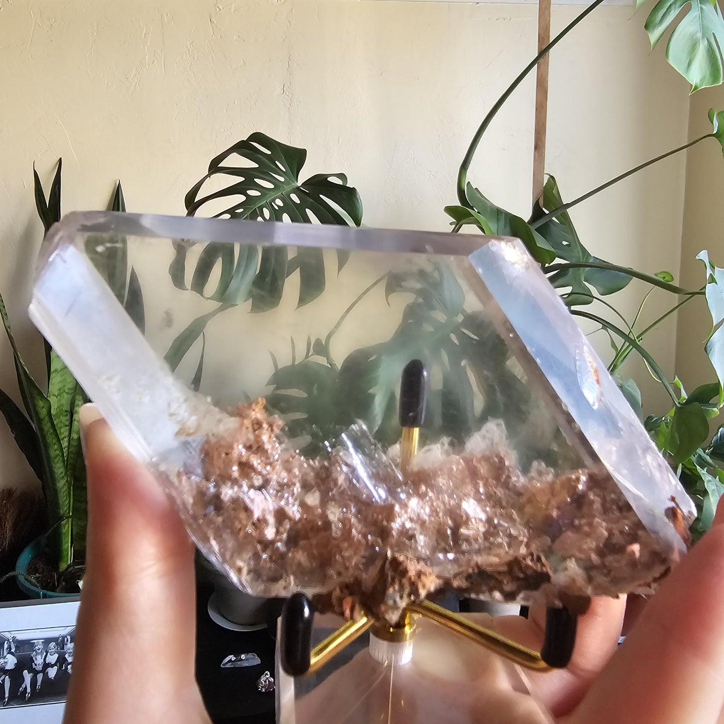 Very Rare Selenite Crystal with Garden-like Inclusions from the Defunct Naica Mine in Mexico
