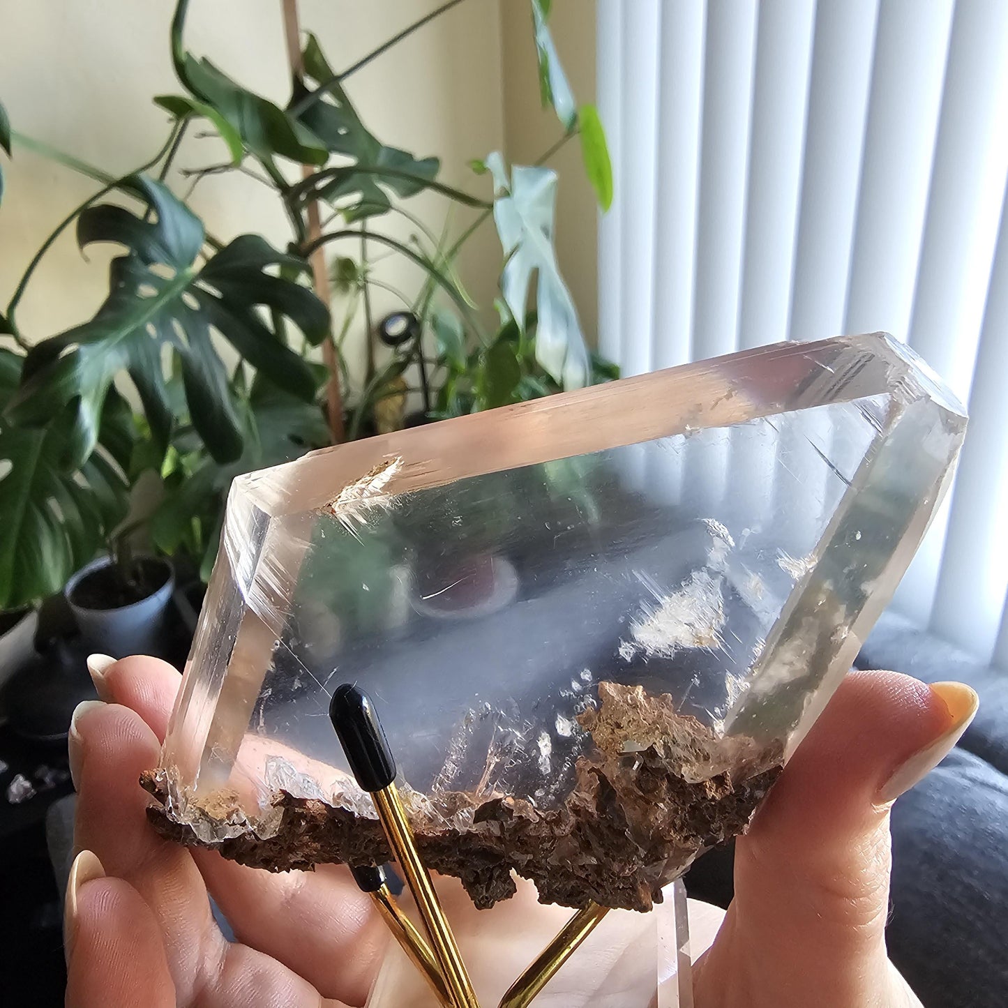 Very Rare Selenite Crystal with Garden-like Inclusions from the Defunct Naica Mine in Mexico