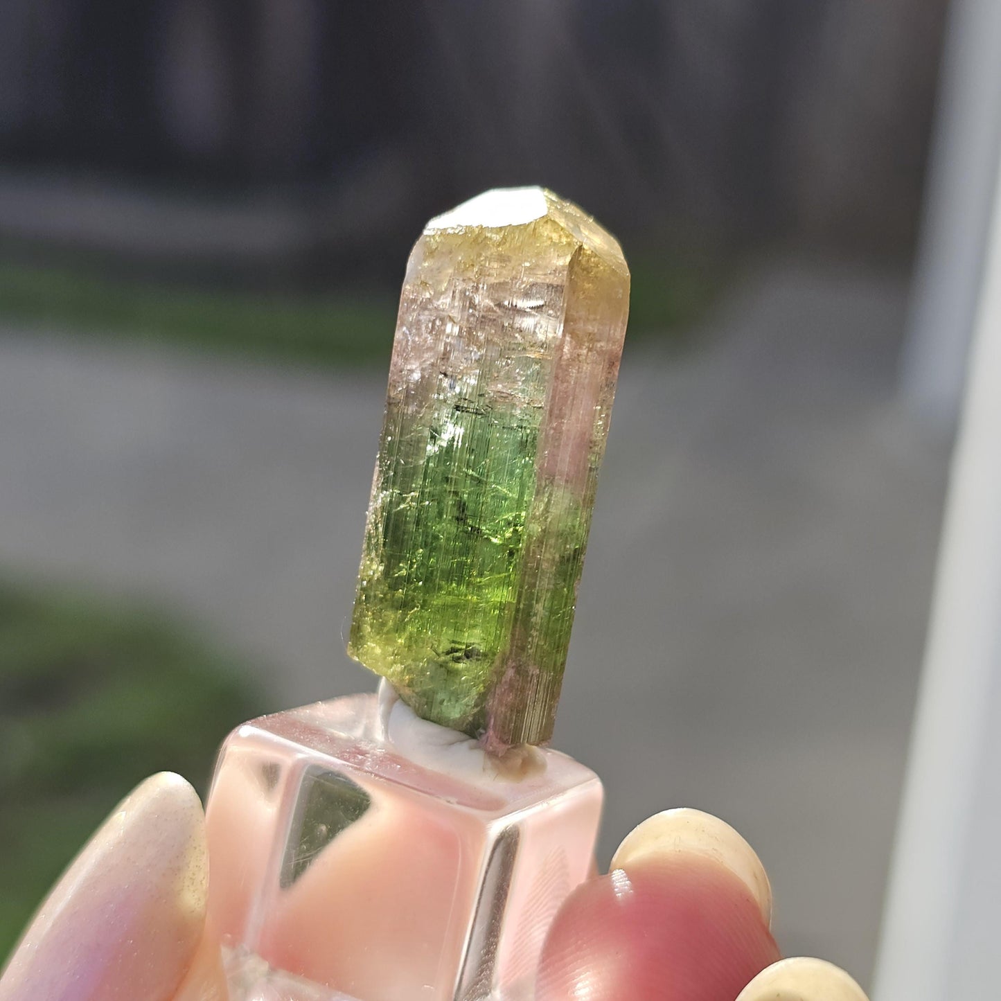 Tourmaline var. Elbaite, Taquaral Brazil, Rainbow Terminated Crystal