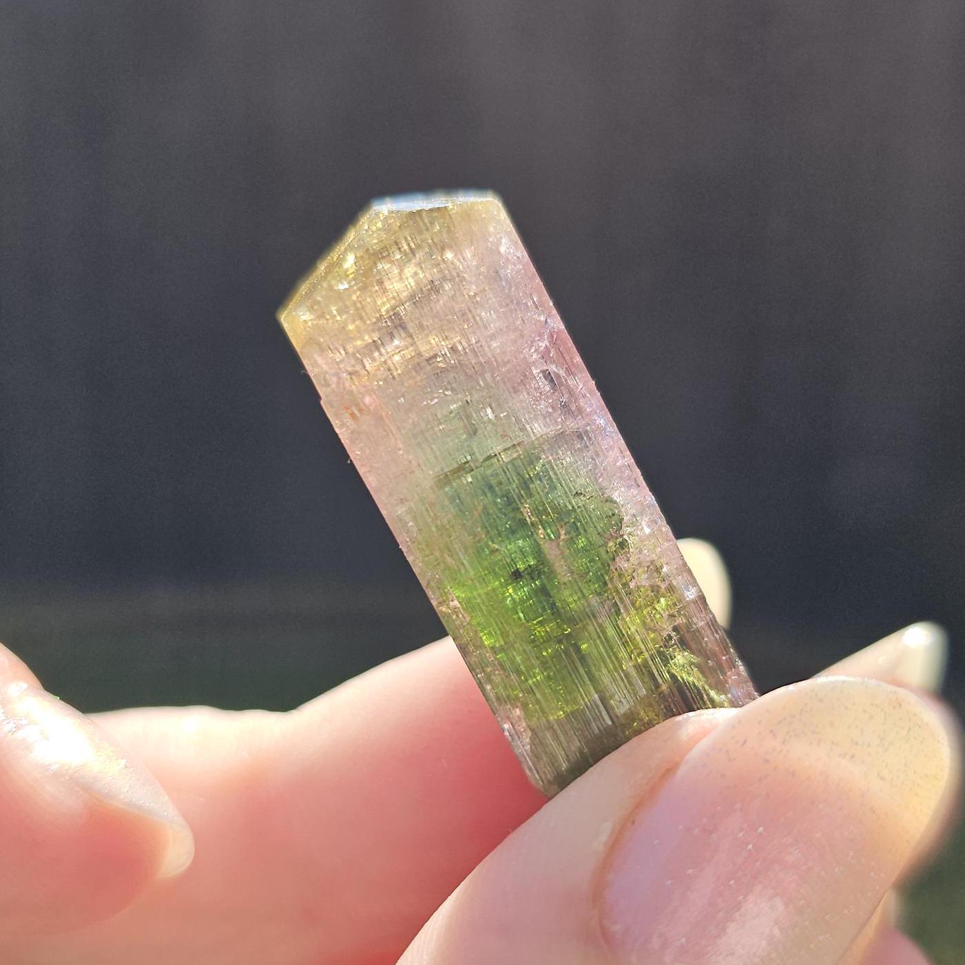 Tourmaline var. Elbaite, Taquaral Brazil, Rainbow Terminated Crystal, Rare Raw October Birthstone, Teal Green Yellow and Pink Gemstone