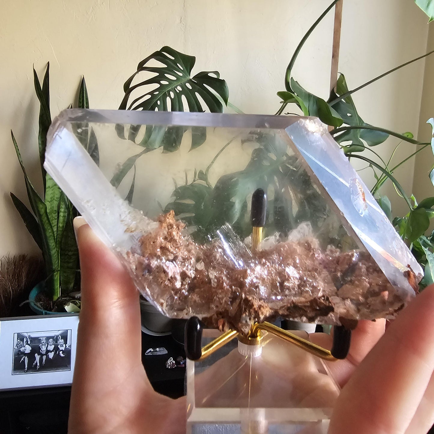 Very Rare Selenite Crystal with Garden-like Inclusions from the Defunct Naica Mine in Mexico