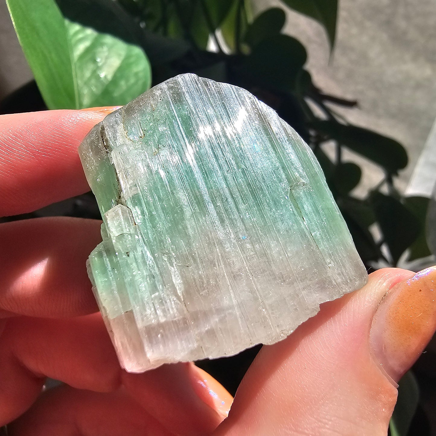 Large Tourmaline, Paprok Mine, 49g, Old Stock