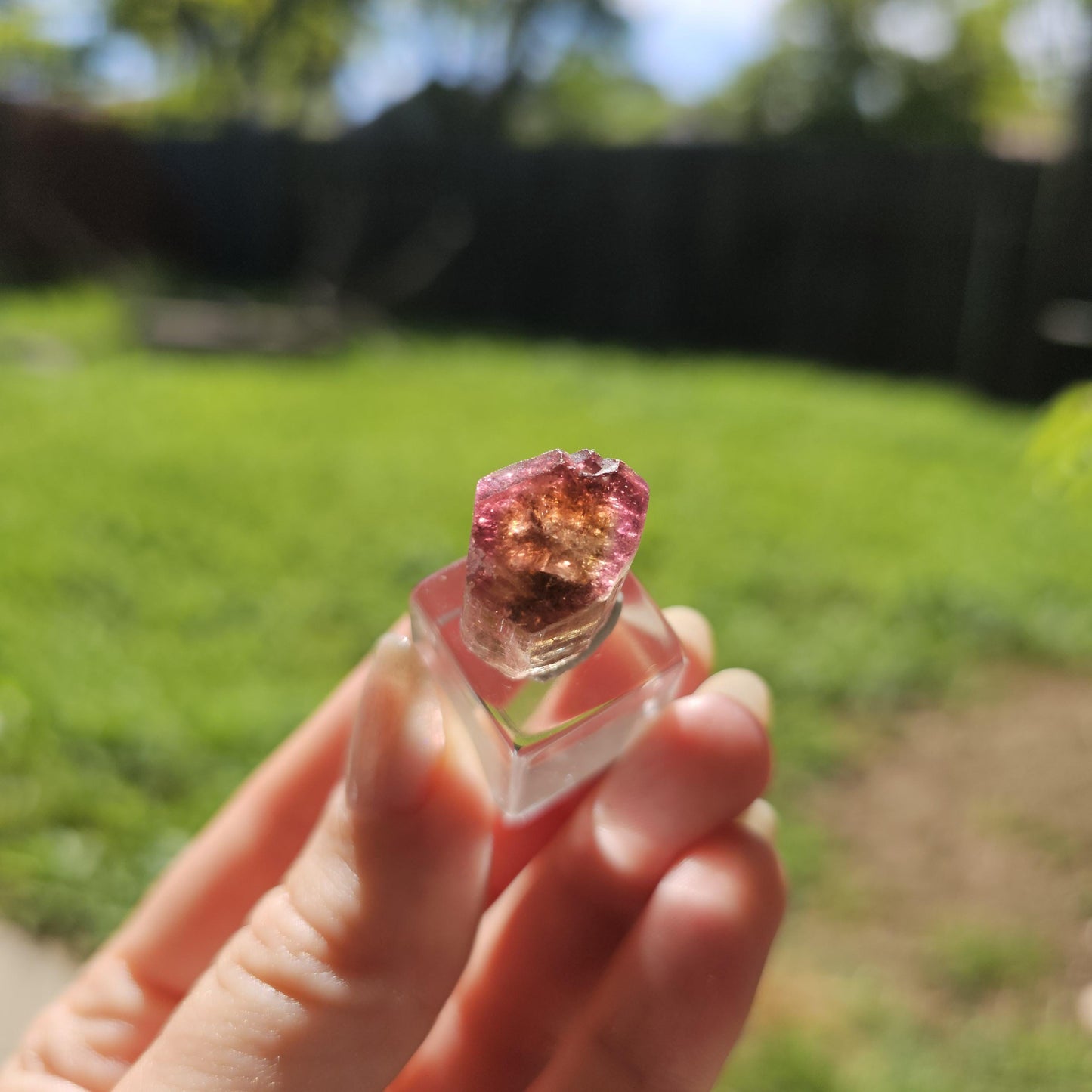 6g Elbaite Tourmaline Crystal Specimen from the Himalaya Mine, California