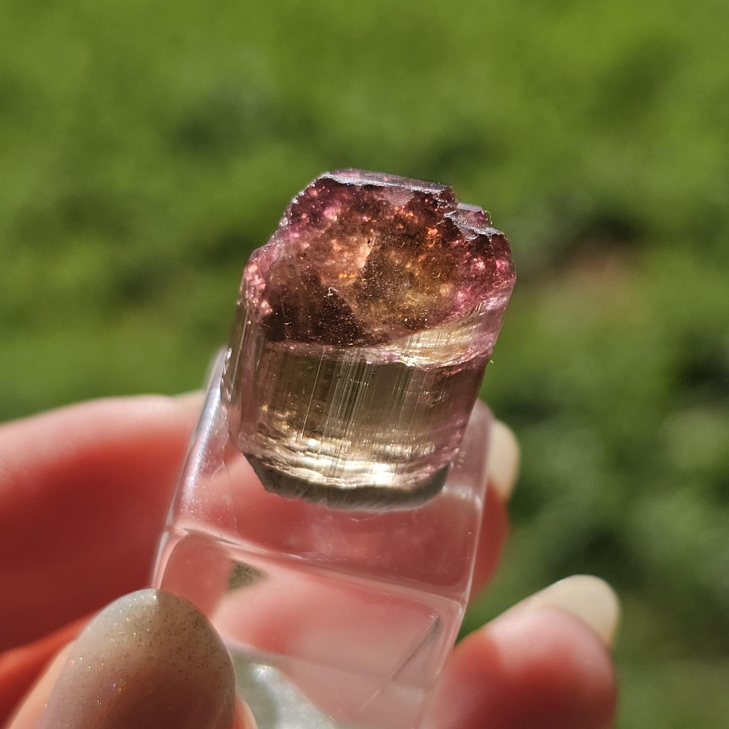 6g Elbaite Tourmaline Crystal Specimen from the Himalaya Mine, California