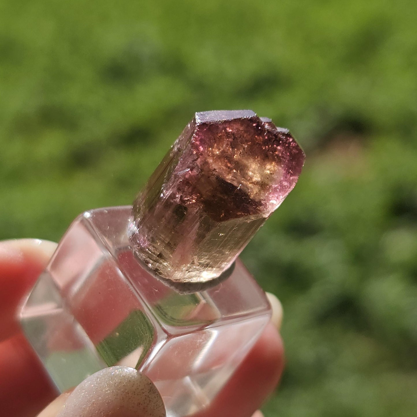 6g Elbaite Tourmaline Crystal Specimen from the Himalaya Mine, California