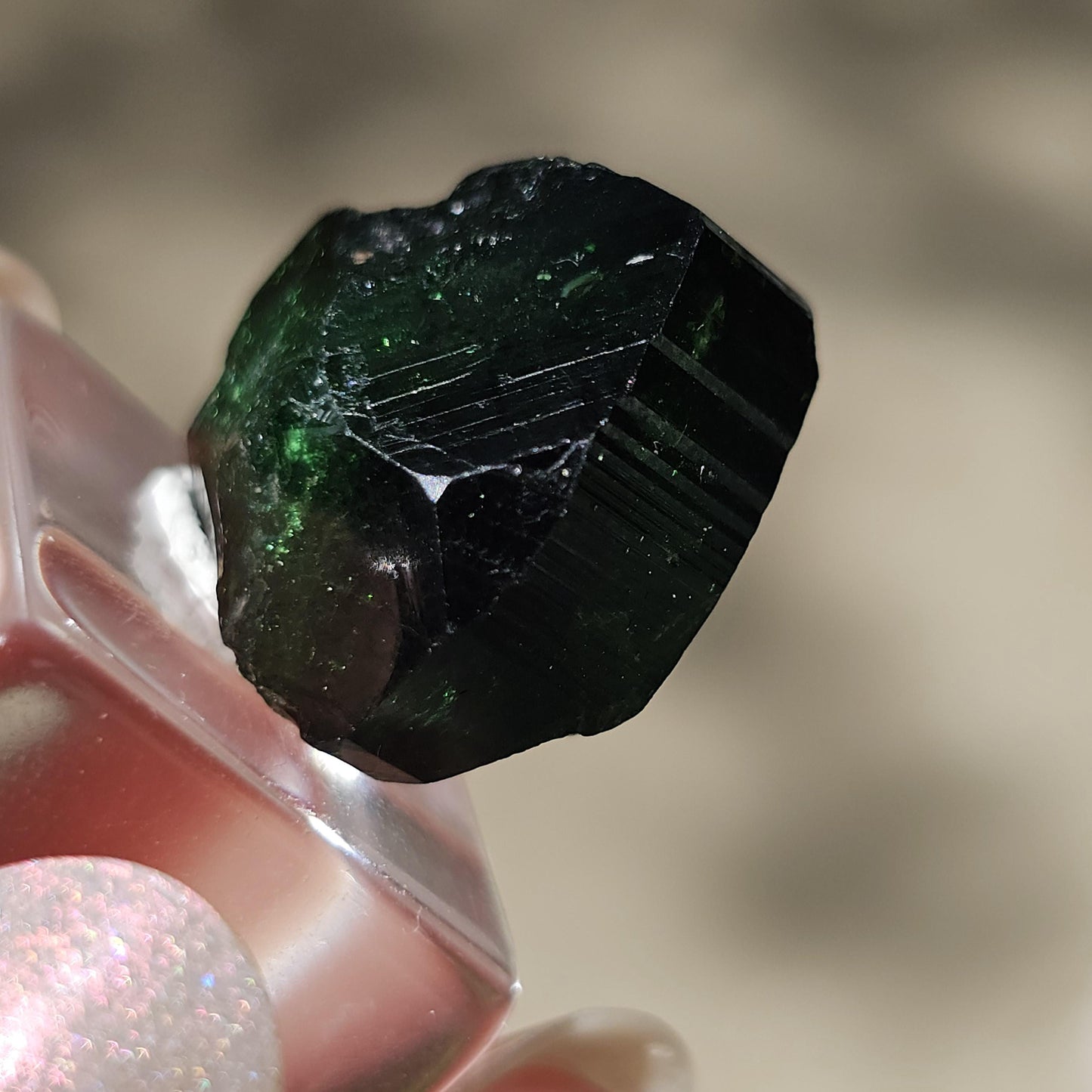 6g Chrome Dravite Rare Double Terminated Tourmaline Crystal from Landanai Tanzania