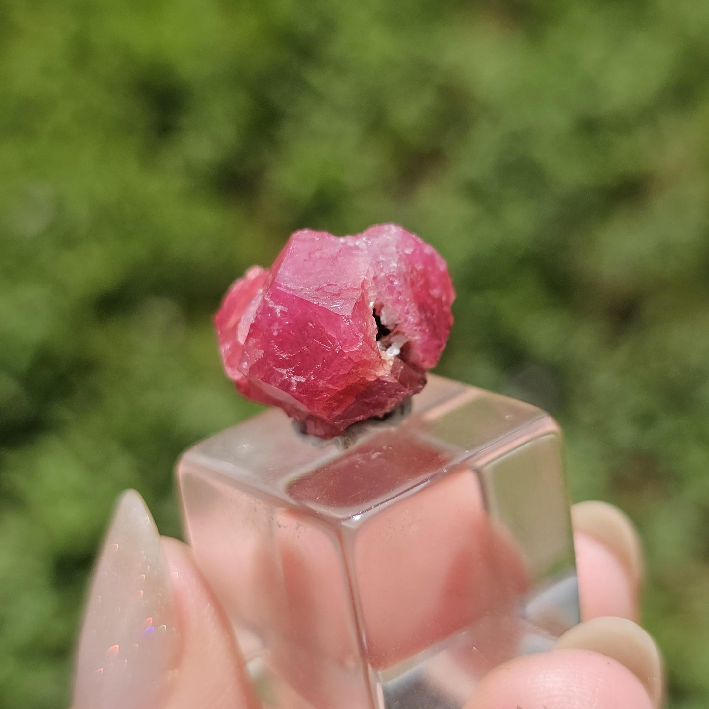 Raspberry Garnet Crystal Cluster w Black Core, Sierra de Cruces, Mexico <100