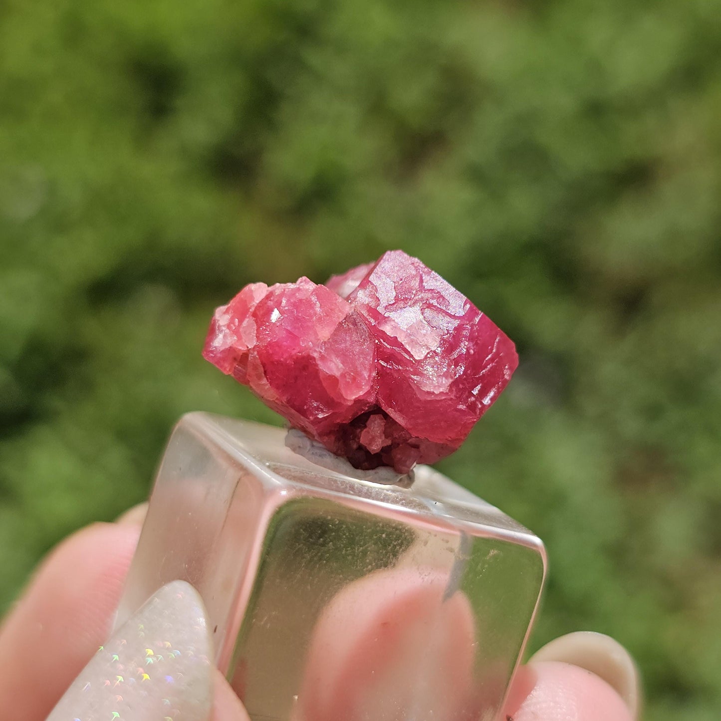 Raspberry Garnet Crystal Cluster w Black Core, Sierra de Cruces, Mexico <100
