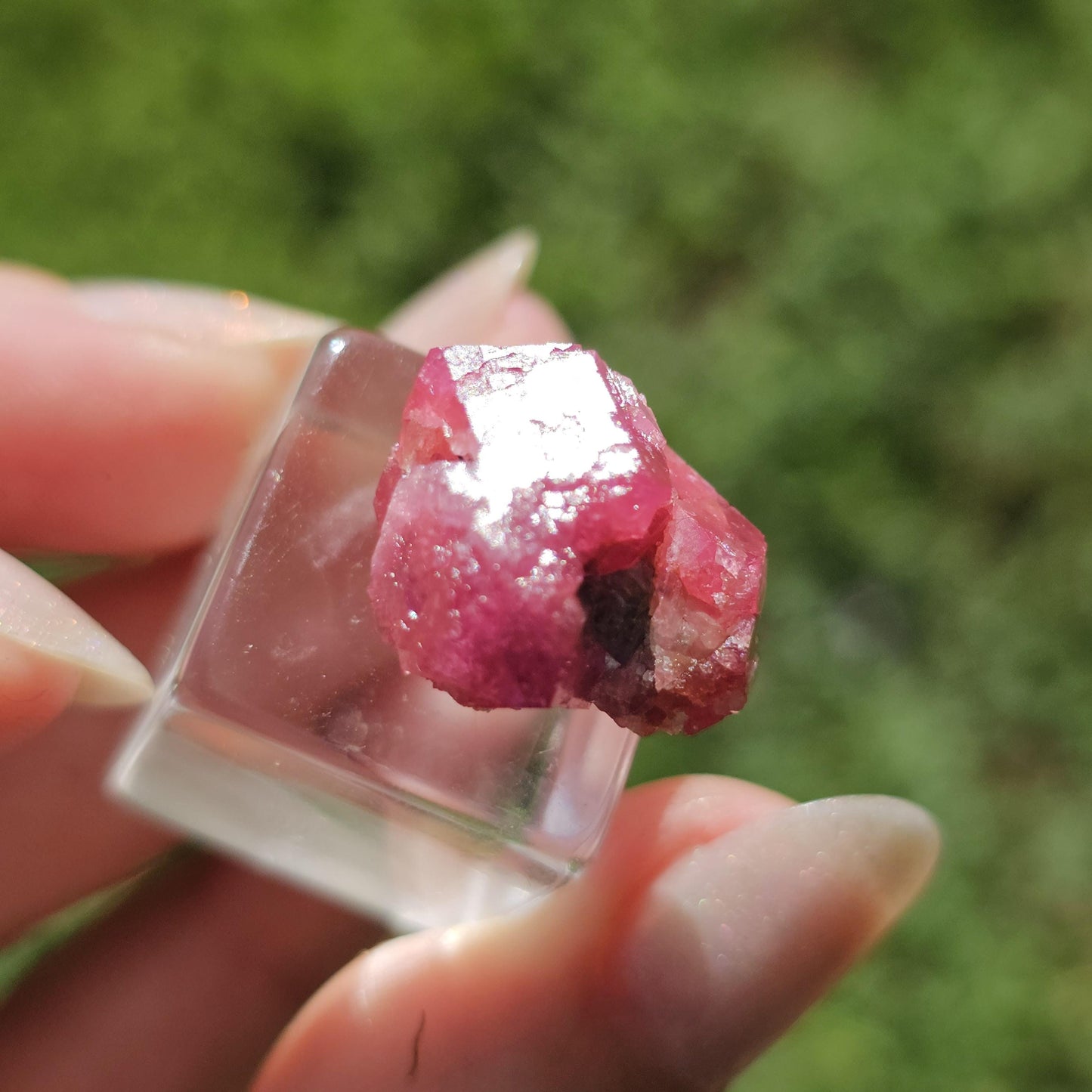 Raspberry Garnet Crystal Cluster w Black Core, Sierra de Cruces, Mexico <100