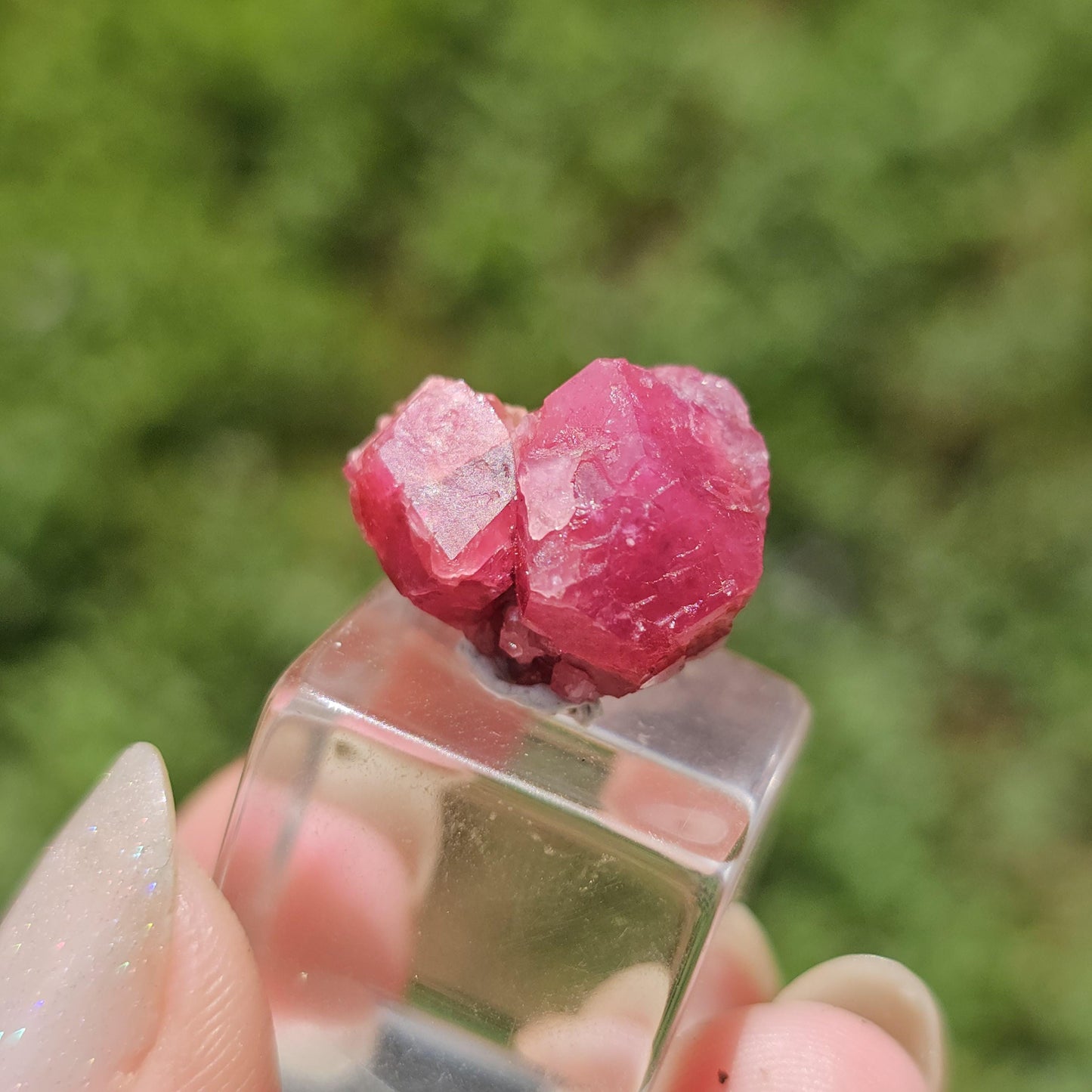 Raspberry Garnet Crystal Cluster w Black Core, Sierra de Cruces, Mexico <100