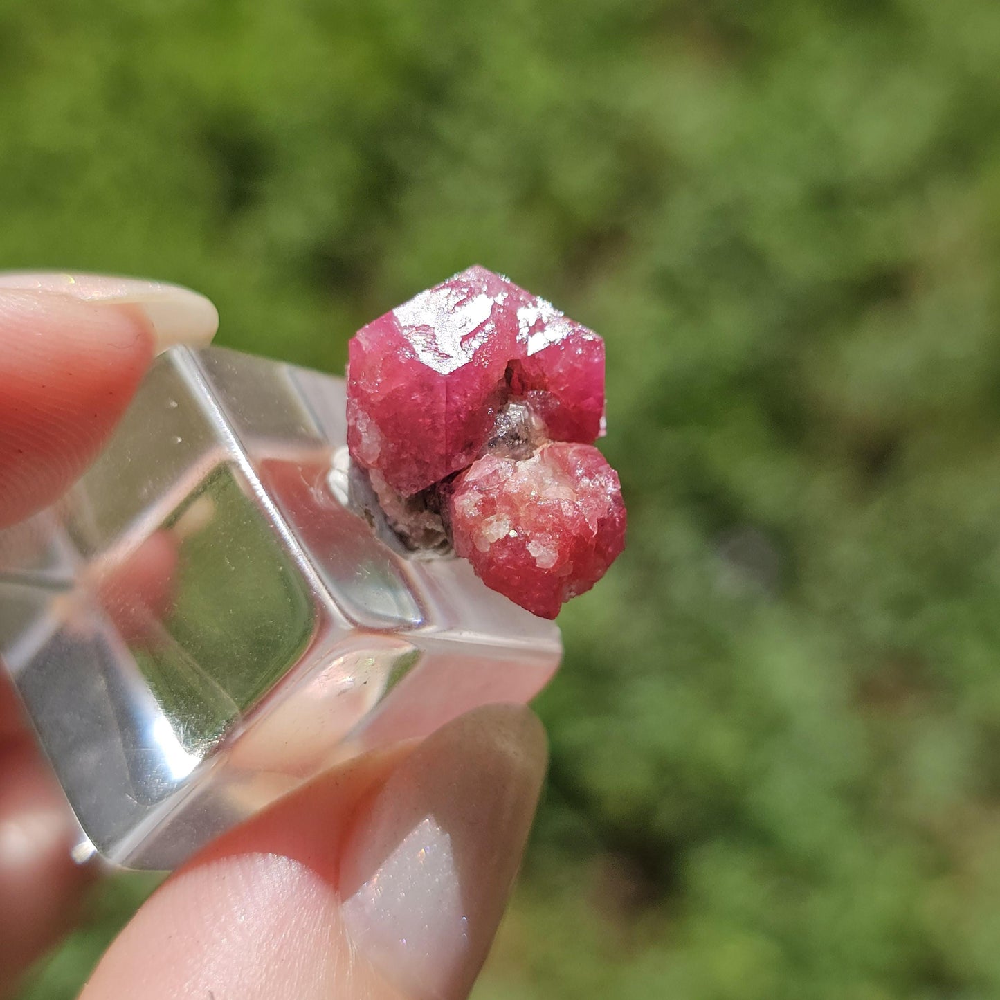 Raspberry Garnet Crystal Cluster w Black Core, Sierra de Cruces, Mexico <100