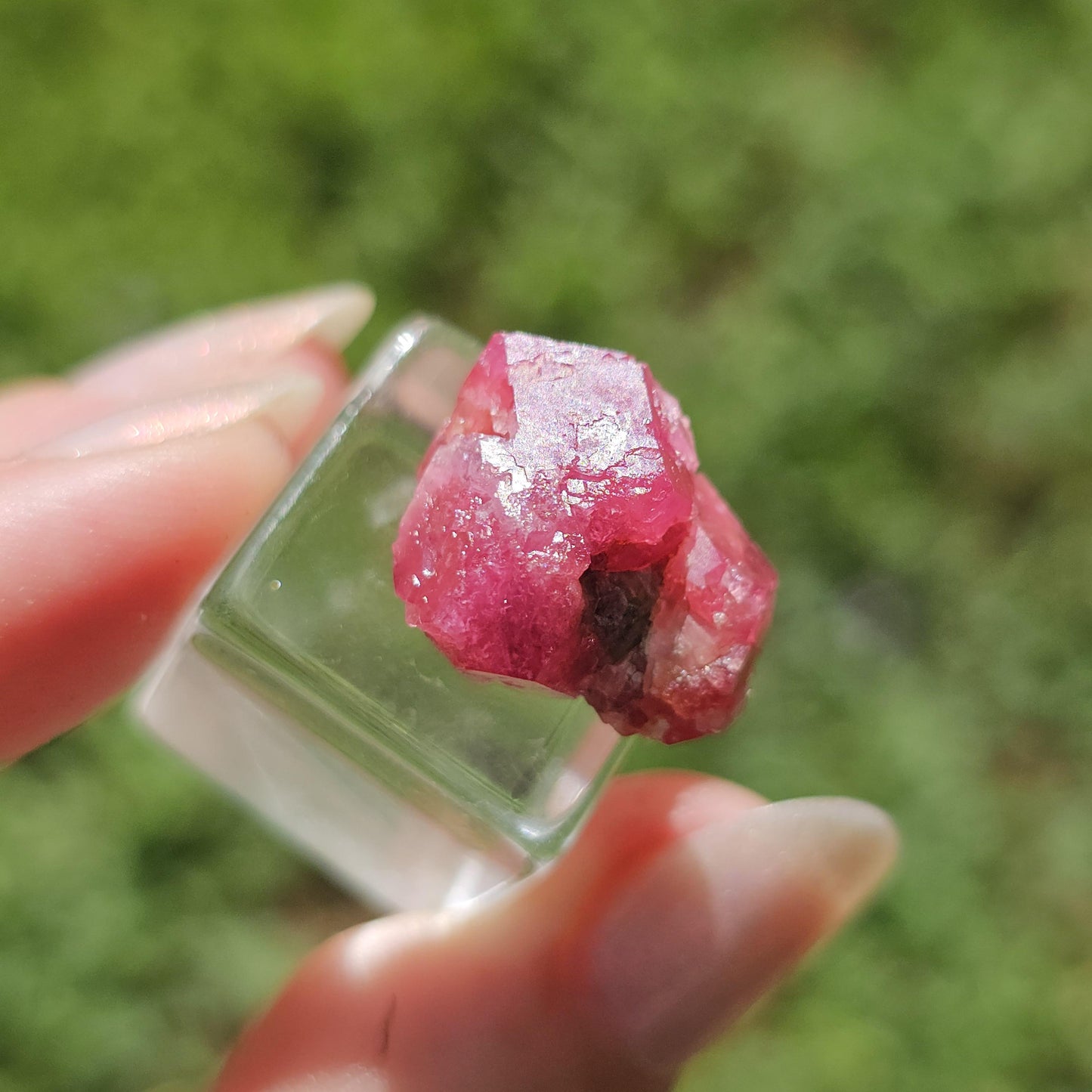 Raspberry Garnet Crystal Cluster w Black Core, Sierra de Cruces, Mexico <100