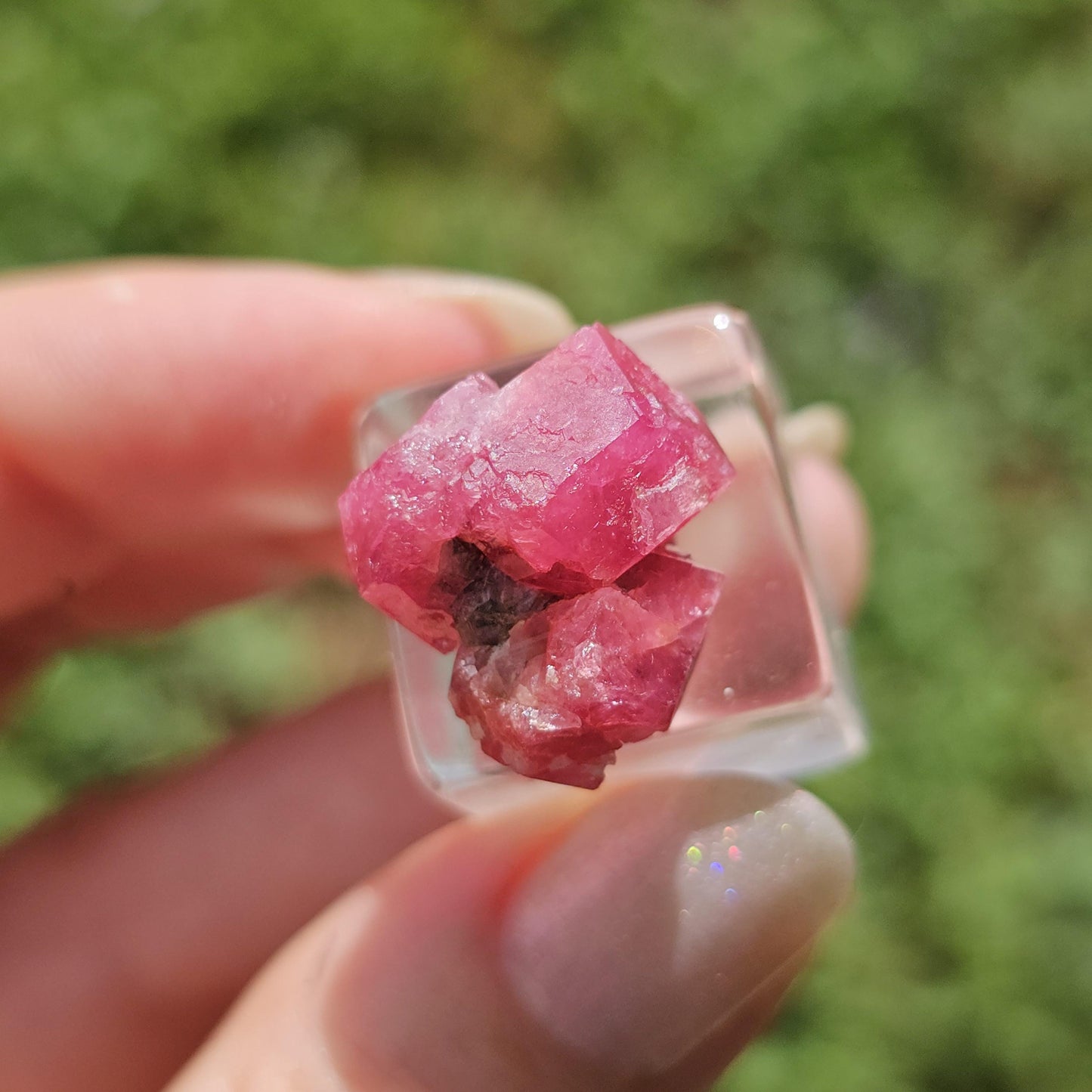 Raspberry Garnet Crystal Cluster w Black Core, Sierra de Cruces, Mexico <100