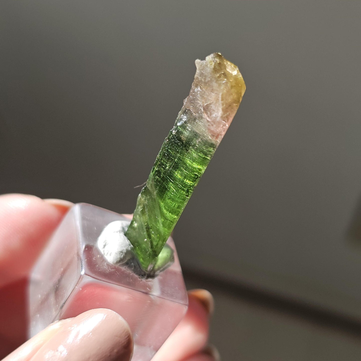 Tourmaline var. Elbaite, Taquaral Brazil, Rainbow Terminated Crystal