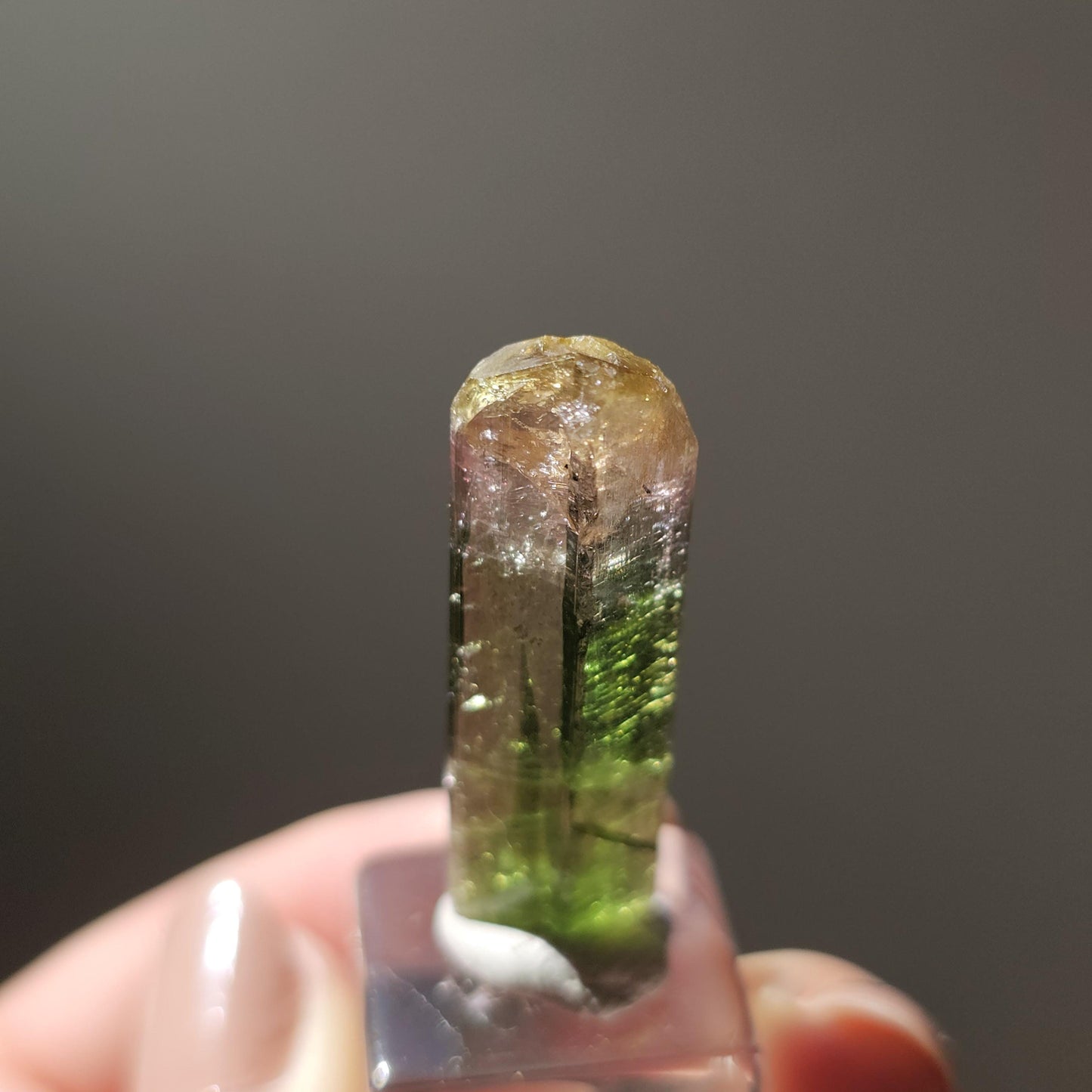 Tourmaline var. Elbaite, Taquaral Brazil, Rainbow Terminated Crystal