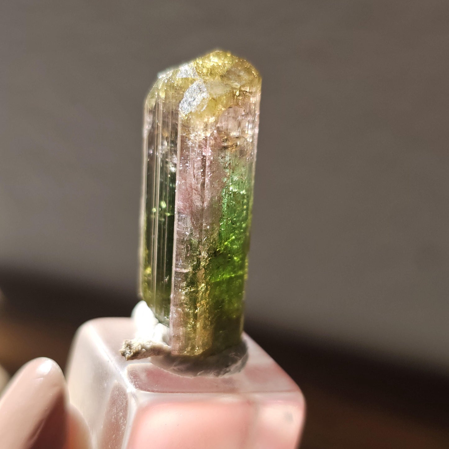 Tourmaline var. Elbaite, Taquaral Brazil, Rainbow Terminated Crystal