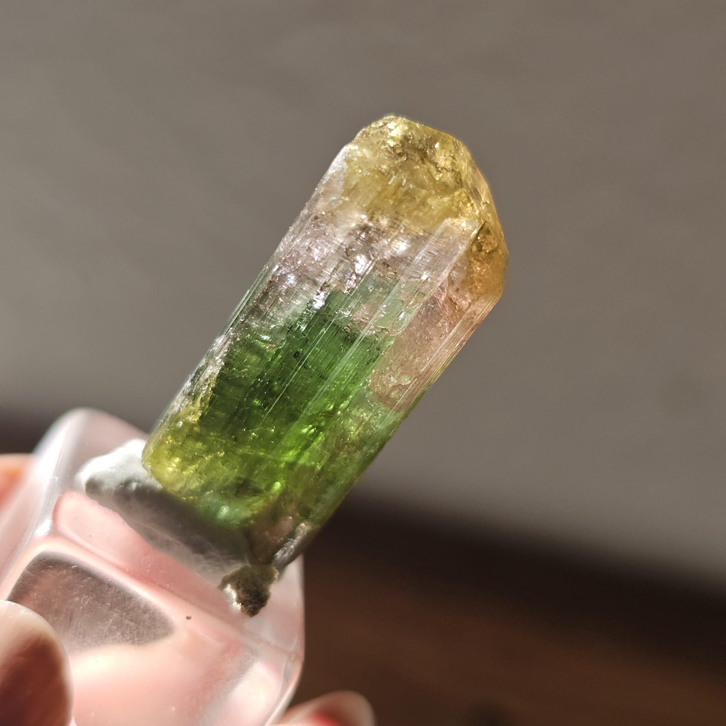 Tourmaline var. Elbaite, Taquaral Brazil, Rainbow Terminated Crystal