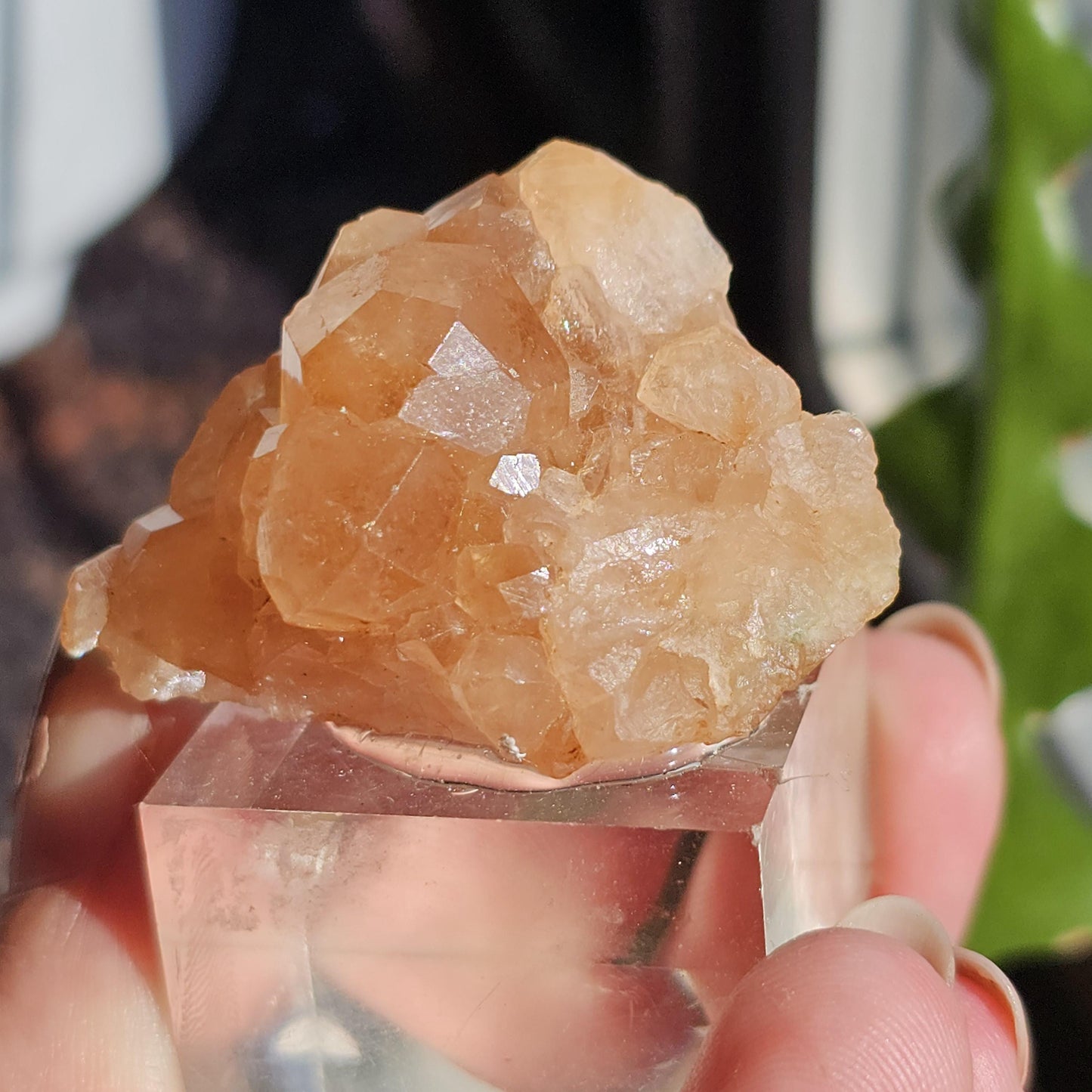 Peach Garnet Crystal Cluster, Hessonite Orange High Grade Collector Specimen