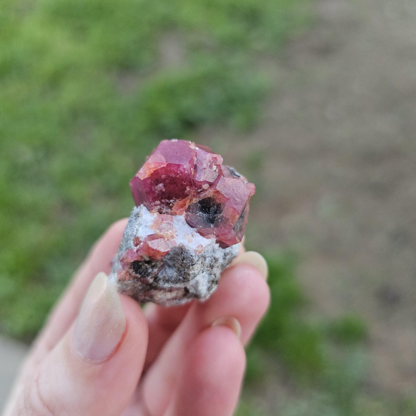 Raspberry Garnet on Matrix from Coahuila, Mexico, New Find 2024 <100