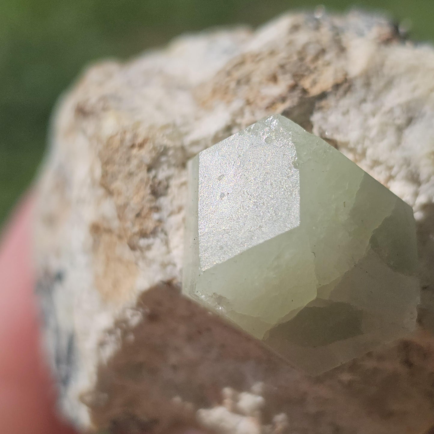 RARE USA Locale Mint Green Grossular Garnet on Matrix Rare Collector Specimen from Wah Wah Mtns Utah, Near Red Beryl Find