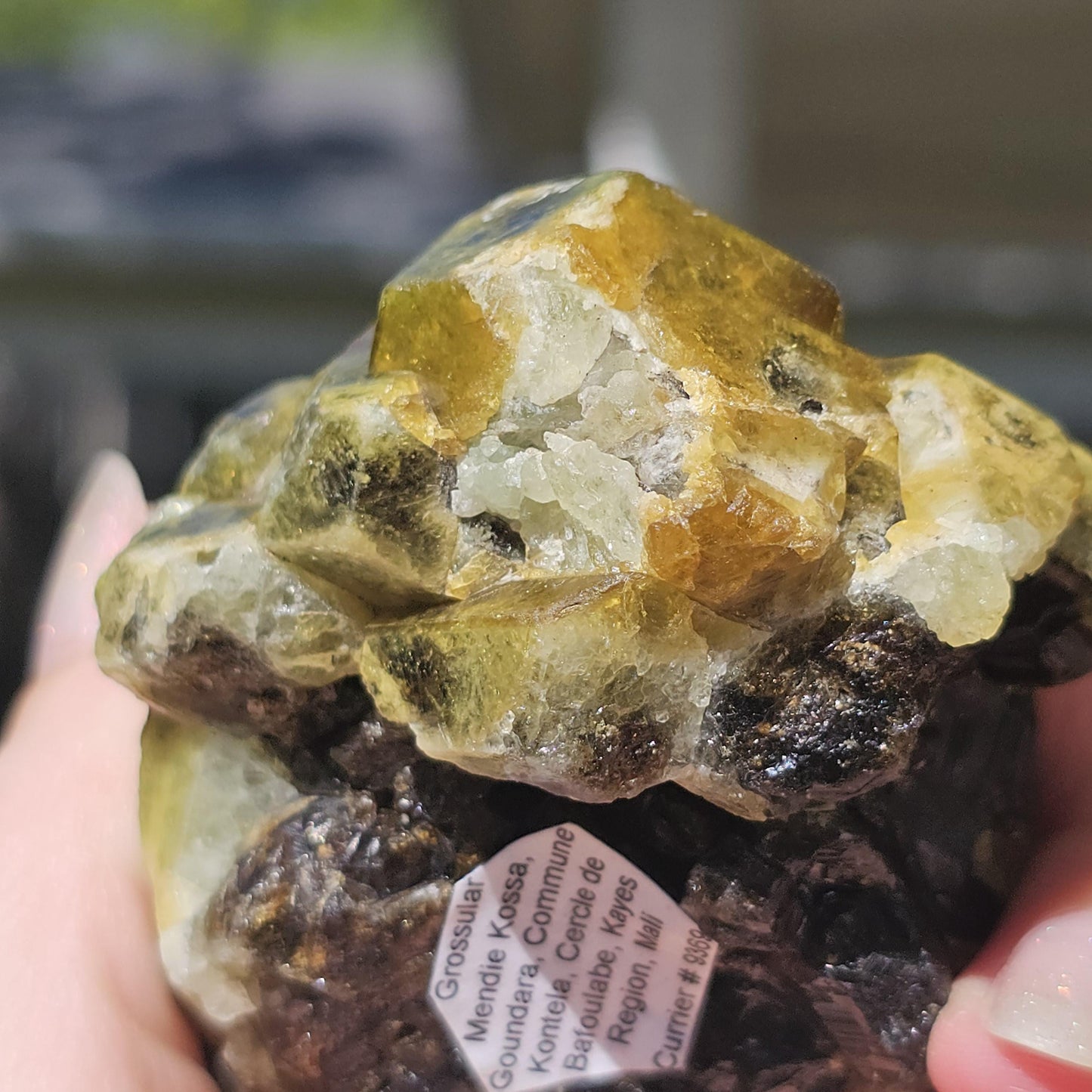 Mali Garnet with Well Documented History, Unique Large Terminated Cluster with Chocolate Brown core, Green Skin, and some Rare Blue!