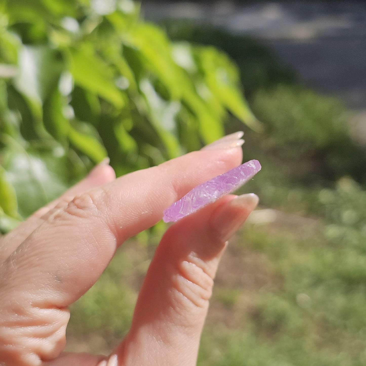 Extremely Tabular Spodumene var. Kunzite Crystal with DNA Helix Inclusion
