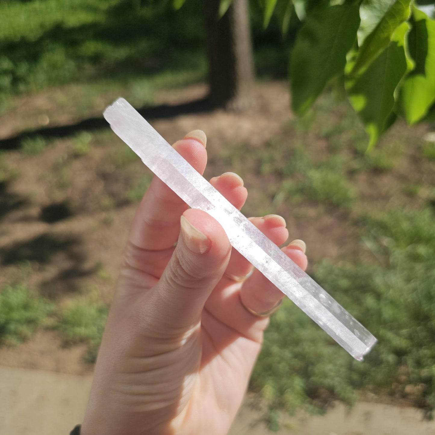 Unique Wand Shaped Spodumene var. Kunzite Crystal with Great Luster, Highly UV Reactive Fluorescent Collector Specimen, Tabby Pencil