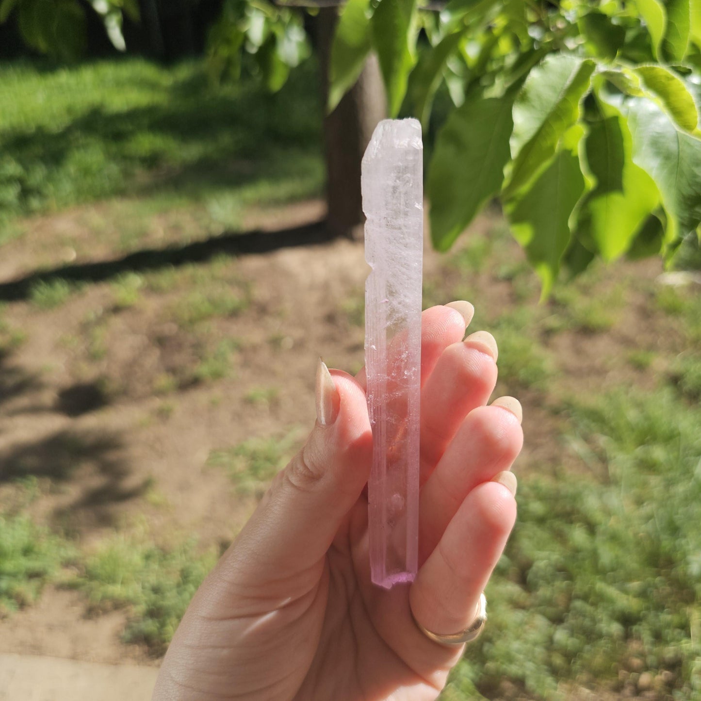 Unique Wand Shaped Spodumene var. Kunzite Crystal with Great Luster, Highly UV Reactive Fluorescent Collector Specimen, Tabby Pencil