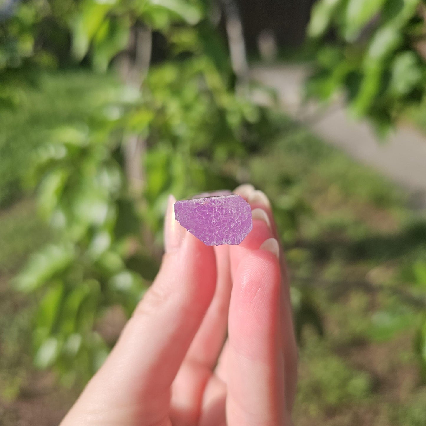 Stunning AAA Spodumene var. Kunzite Crystal with Great Luster and Color