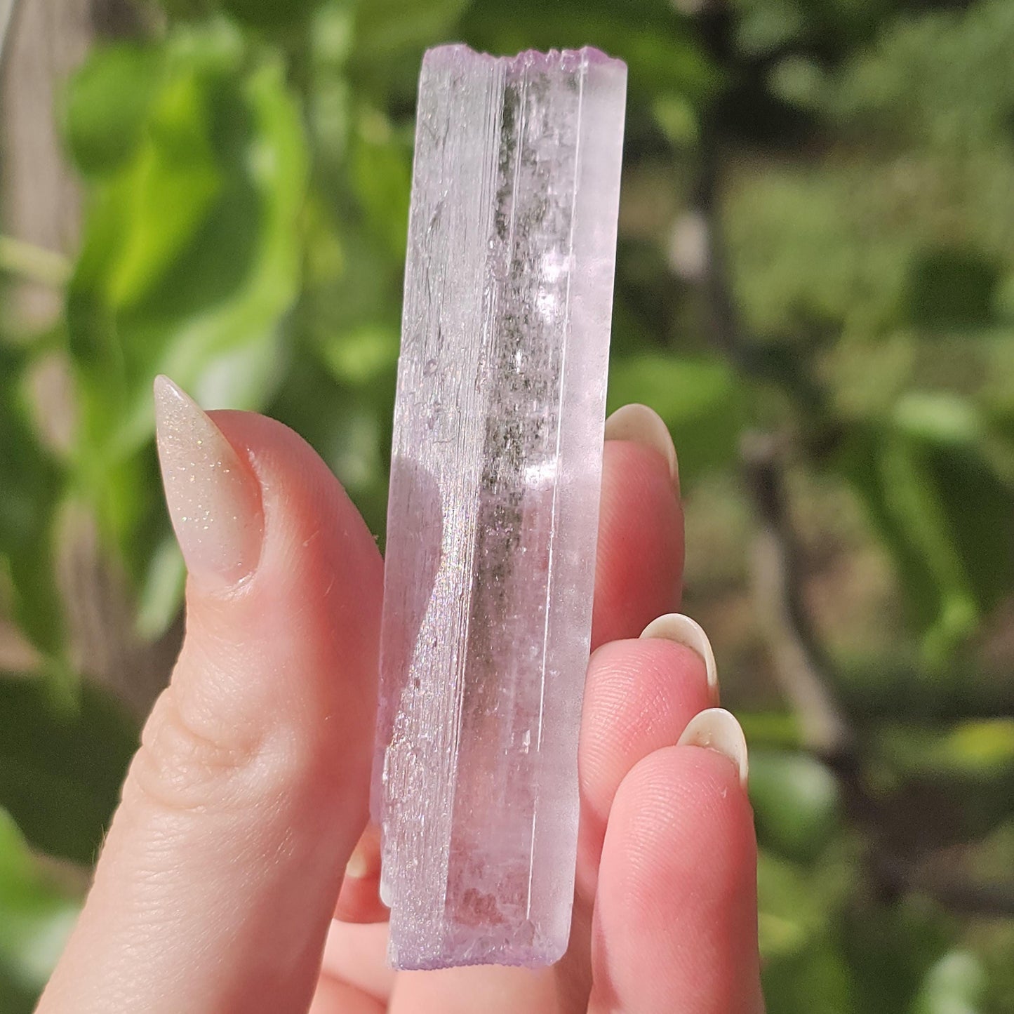 Stunning AAA Spodumene var. Kunzite Crystal with Great Luster and Color