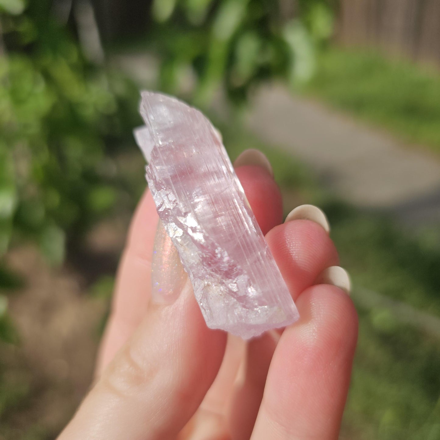Juicy Pink Spodumene var. Kunzite Crystal with Great Luster, Hot Color