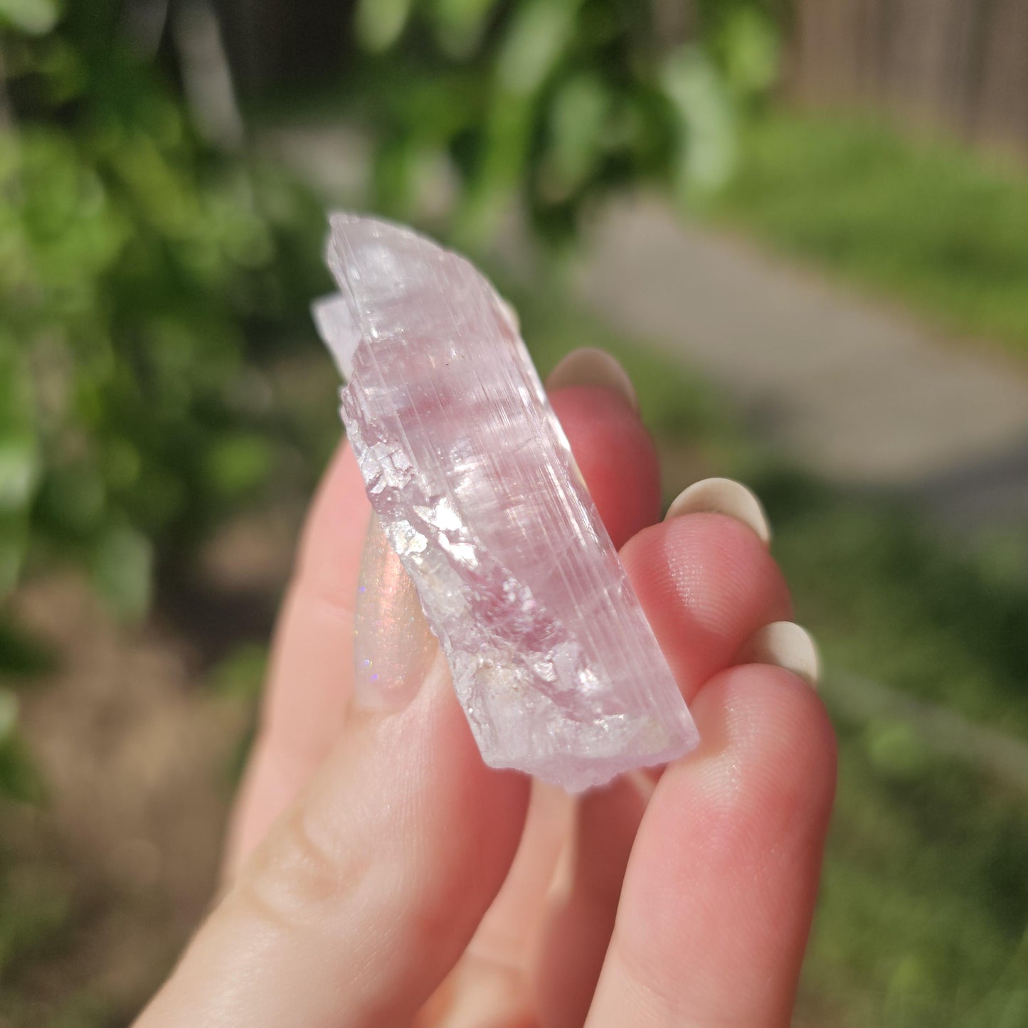 Juicy Pink Spodumene var. Kunzite Crystal with Great Luster, Hot Color