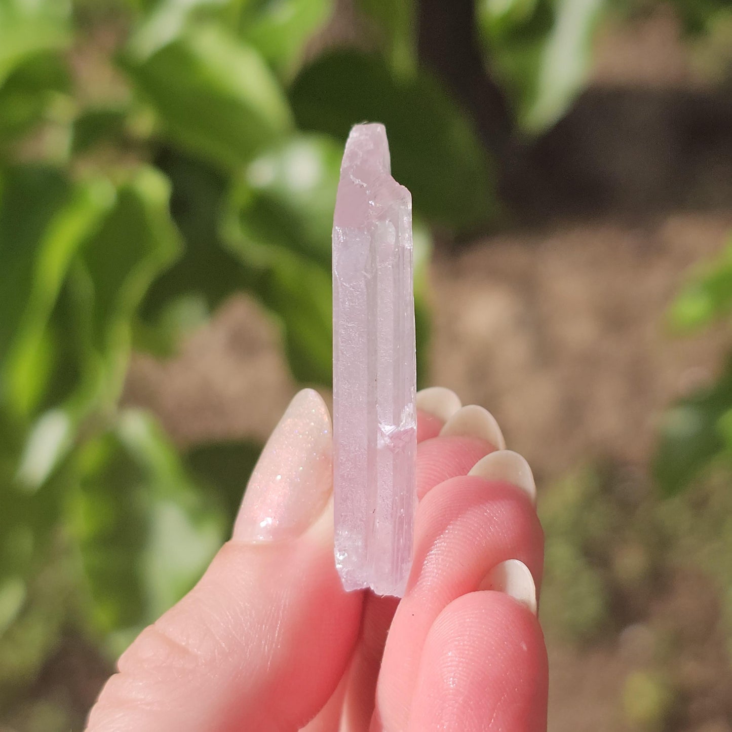 Unique Tabby Spodumene var. Kunzite Crystal w Great Luster, Highly UV Reactive <100