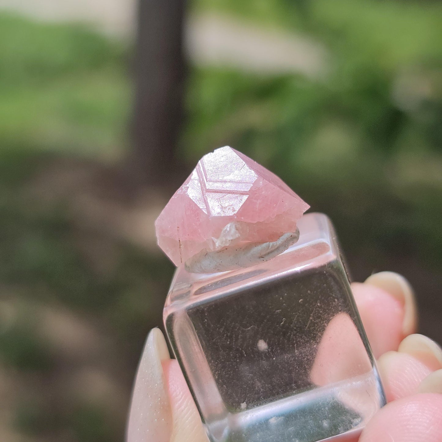 Baby Pink Garnet, Sierra de las Cruces, Mexico, New Stock 2024 Production <100