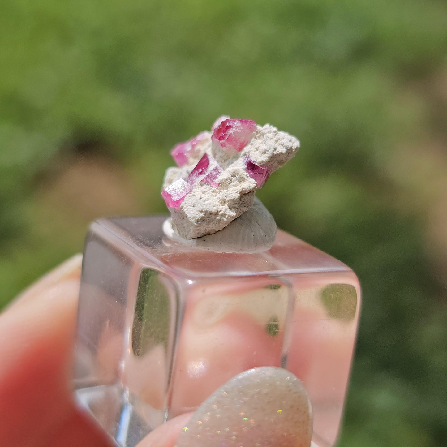 Hot Pink Red Beryl Crystals in Matrix/ Bixbite Specimen from Wah Wah Mtns, Utah