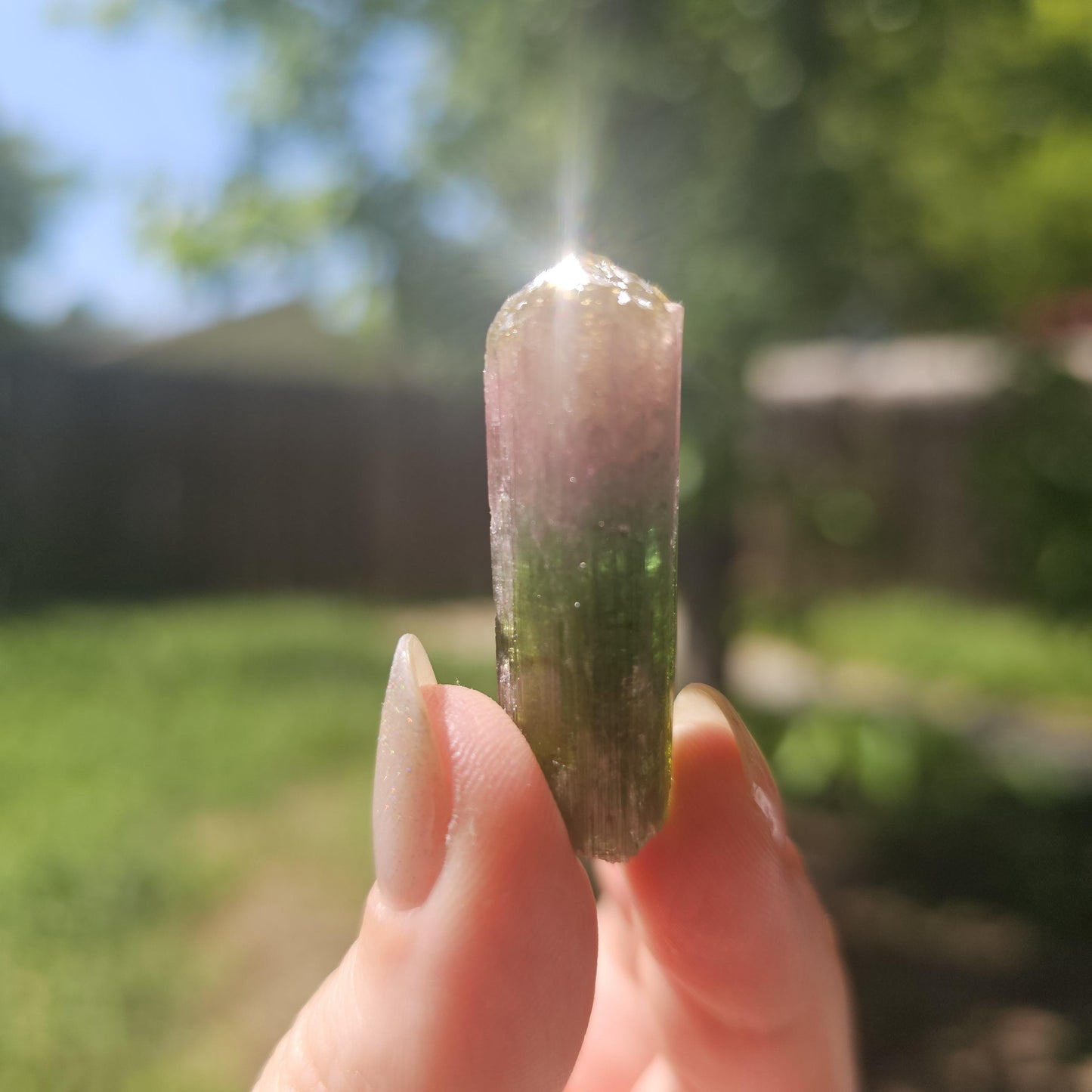Rainbow Tourmaline Crystal from New Pocket, Taquaral Brazil, Green Pink Blue and Yellow Elbaite