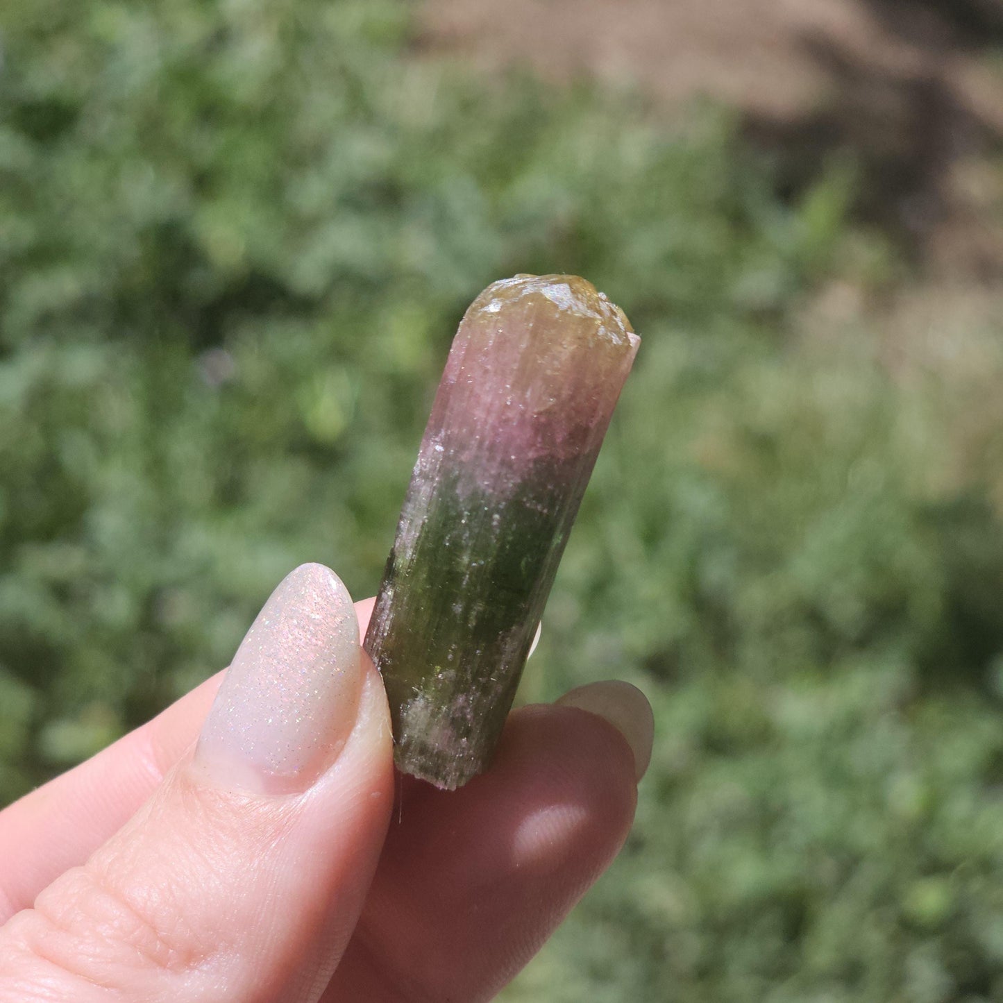 Rainbow Tourmaline Crystal from New Pocket, Taquaral Brazil, Green Pink Blue and Yellow Elbaite