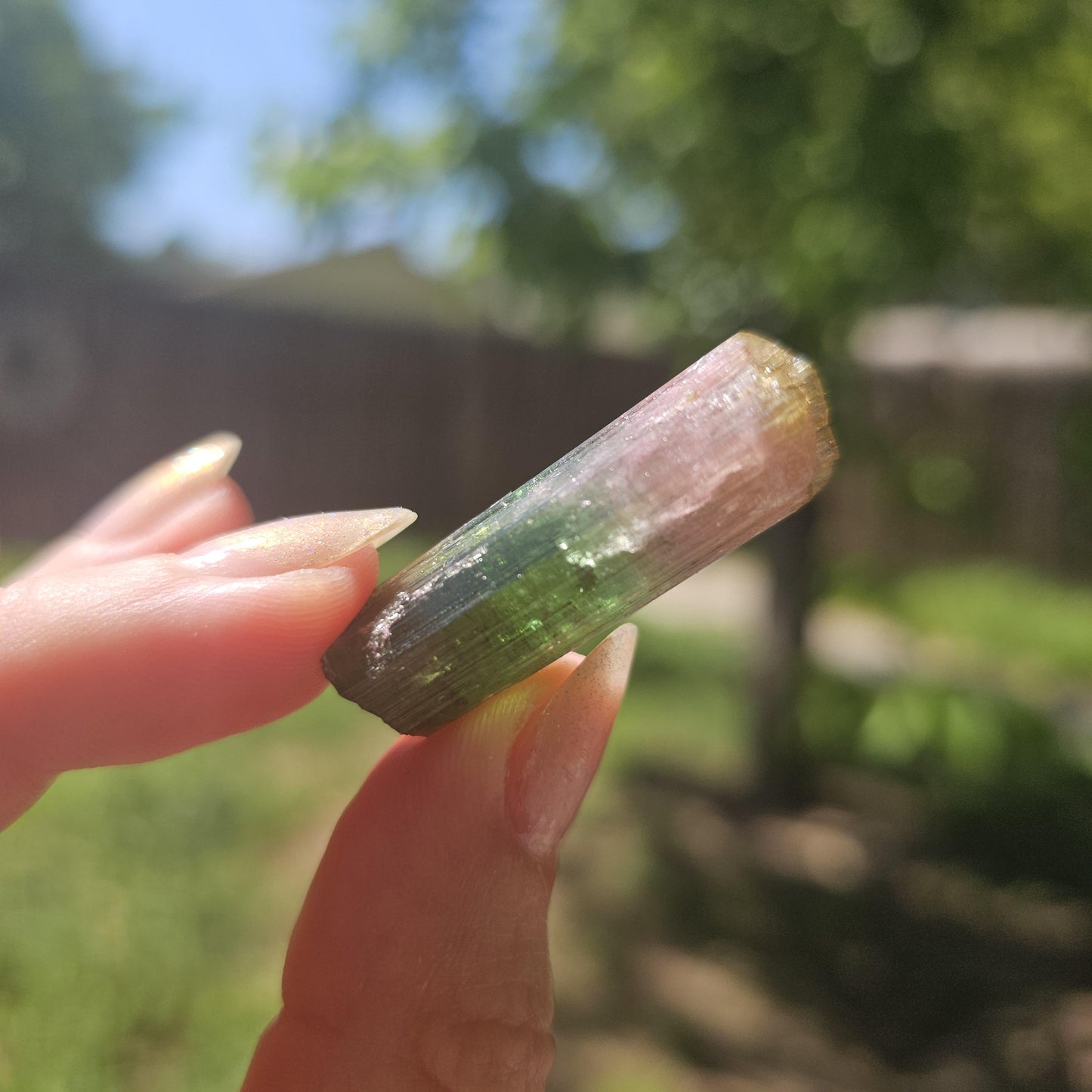 Rainbow Tourmaline Crystal from New Pocket, Taquaral Brazil, Green Pink Blue and Yellow Elbaite