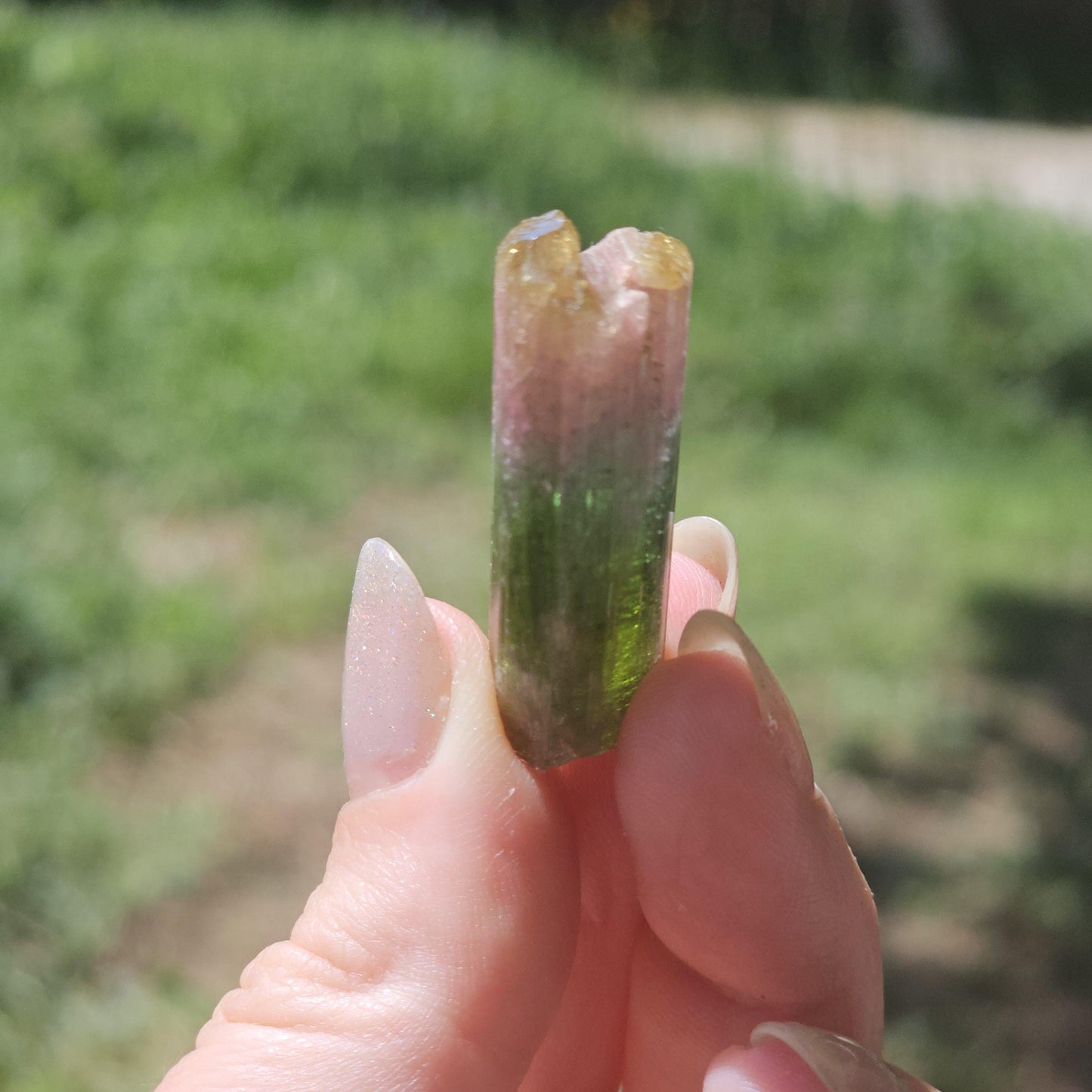 Rainbow Tourmaline Crystal from New Pocket, Taquaral Brazil, Green Pink Blue and Yellow Elbaite