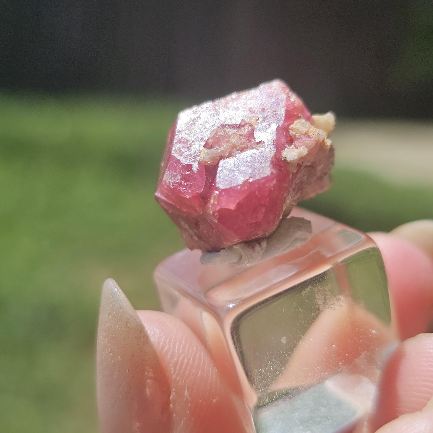 Hot Pink Raspberry Garnet Floater from Sierra de Cruces Mexico <100