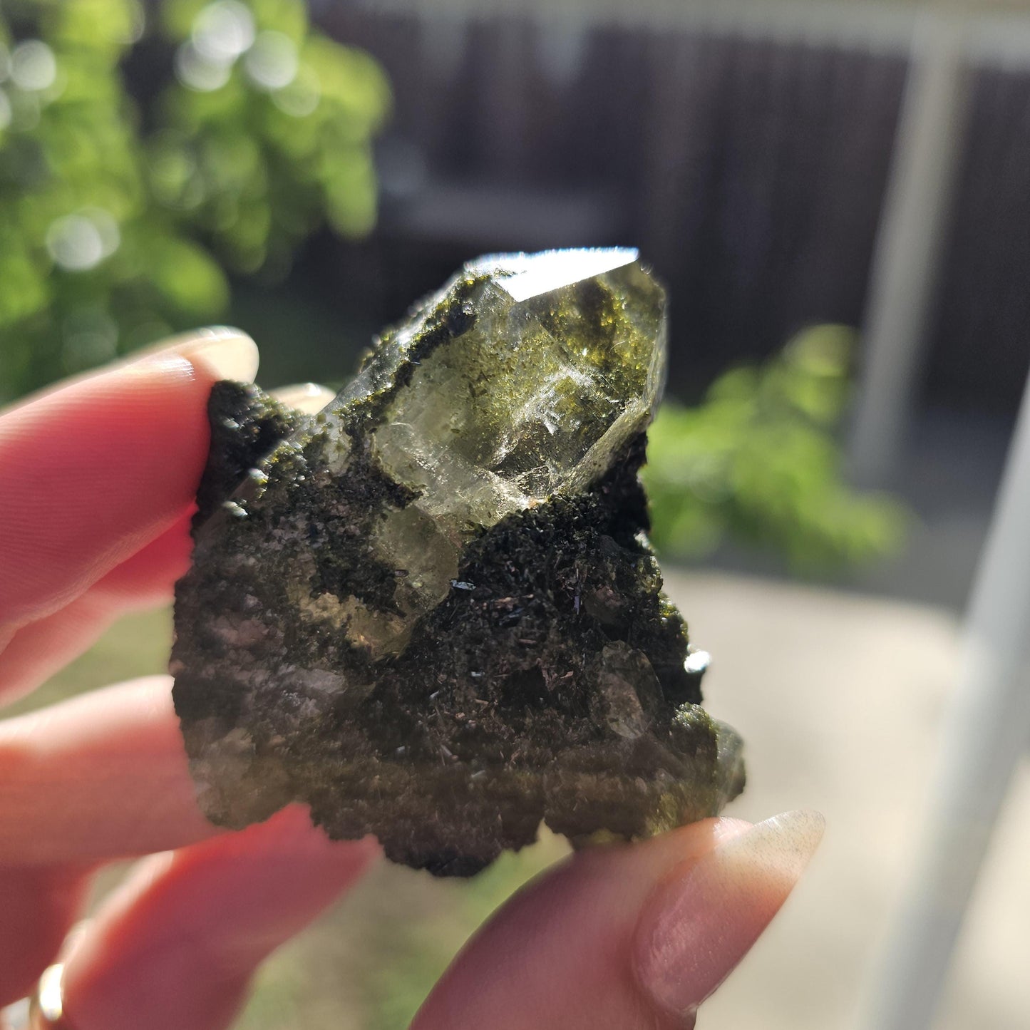 Clear Terminated Quartz with Green Epidote Inclusions & Matrix