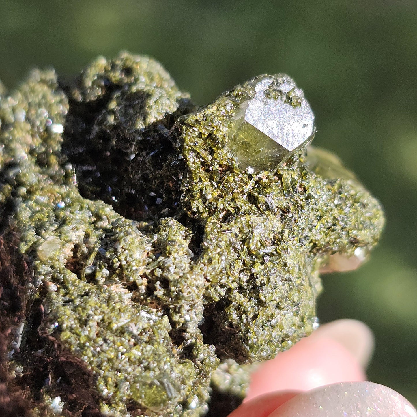 Clear Terminated Quartz with Green Epidote Inclusions & Matrix