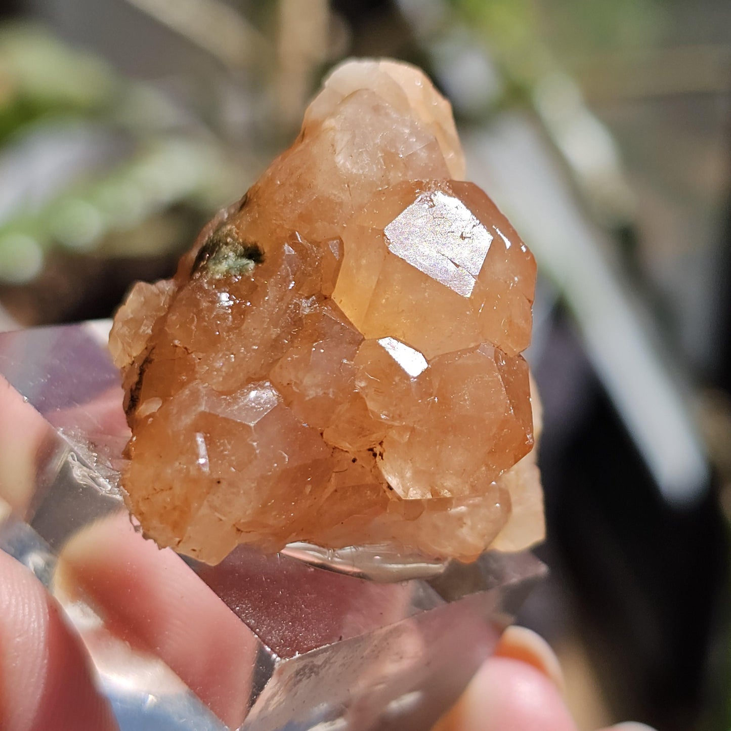 Peach Garnet Crystal Cluster, Hessonite Orange High Grade Collector Specimen