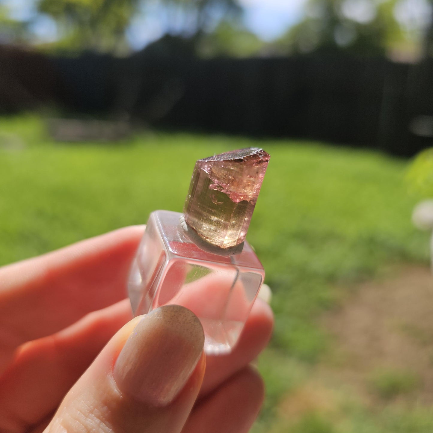 6g Elbaite Tourmaline Crystal Specimen from the Himalaya Mine, California