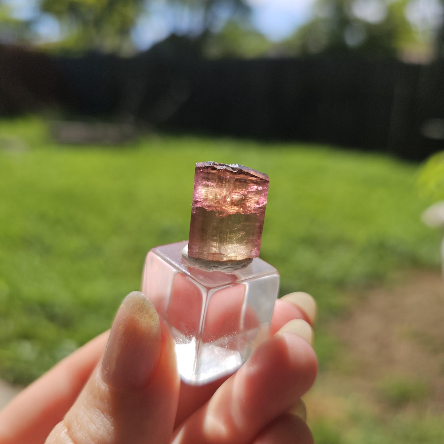 6g Elbaite Tourmaline Crystal Specimen from the Himalaya Mine, California