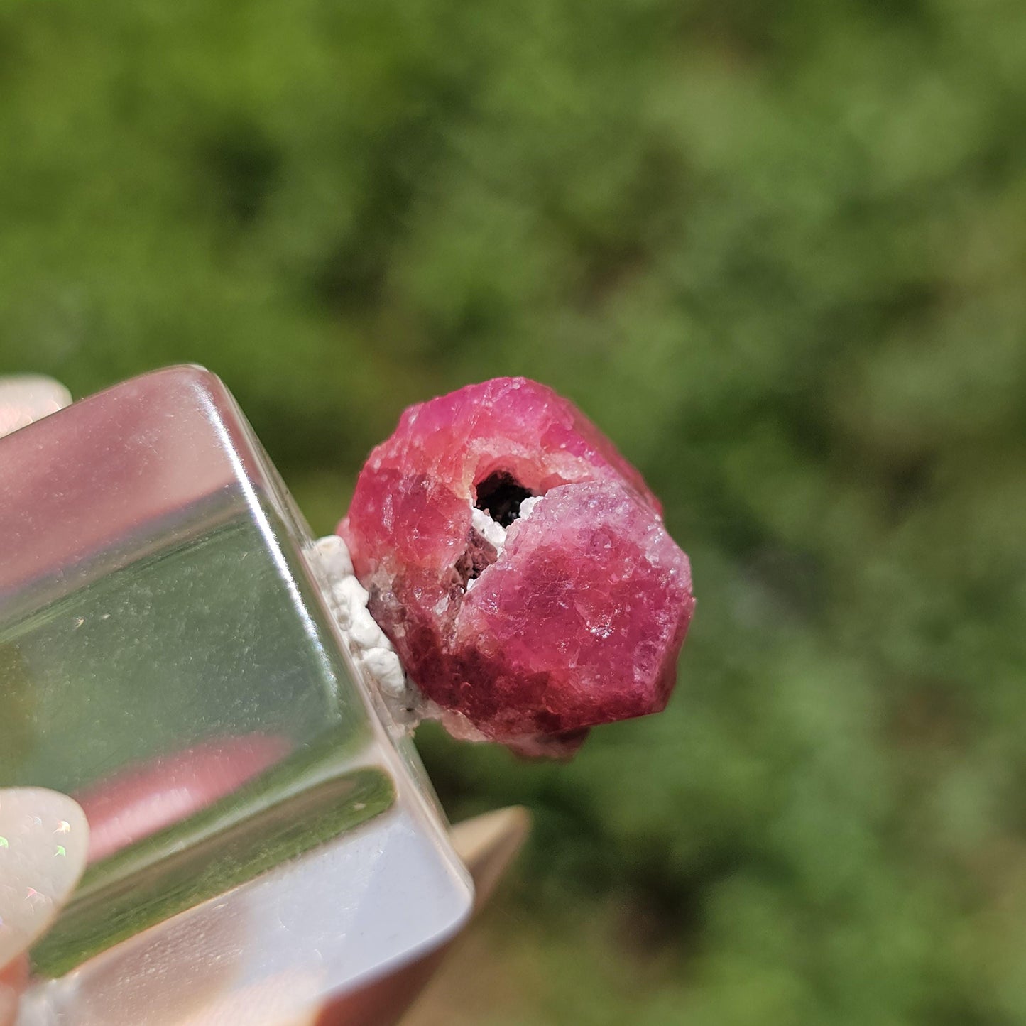 Raspberry Garnet Crystal Cluster w Black Core, Sierra de Cruces, Mexico <100