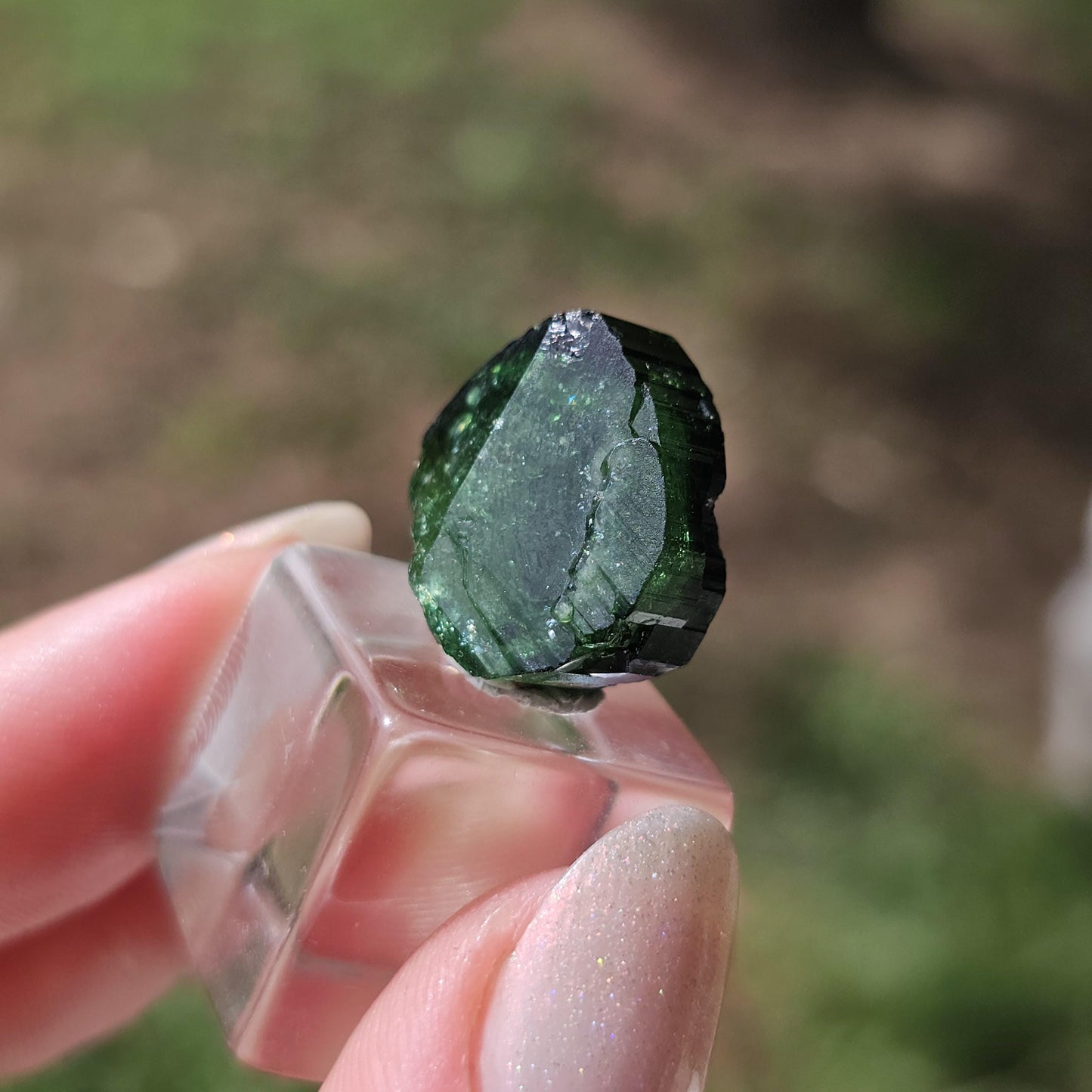 6g Chrome Dravite Rare Double Terminated Tourmaline Crystal from Landanai Tanzania