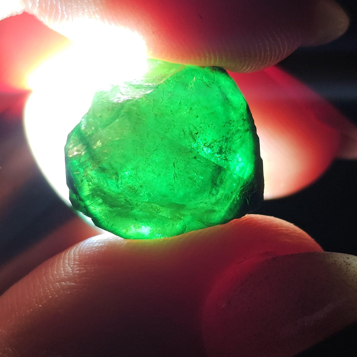 6g Chrome Dravite Rare Double Terminated Tourmaline Crystal from Landanai Tanzania