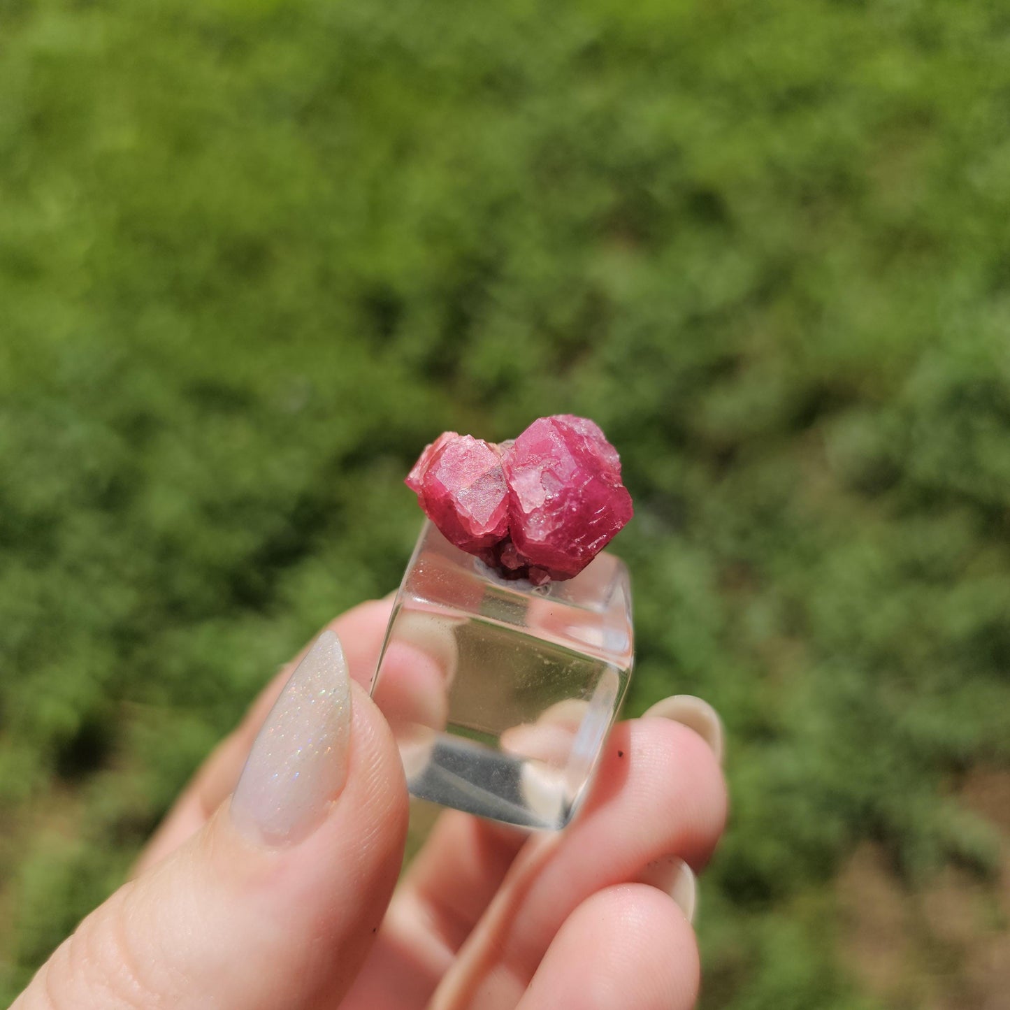 Raspberry Garnet Crystal Cluster w Black Core, Sierra de Cruces, Mexico <100