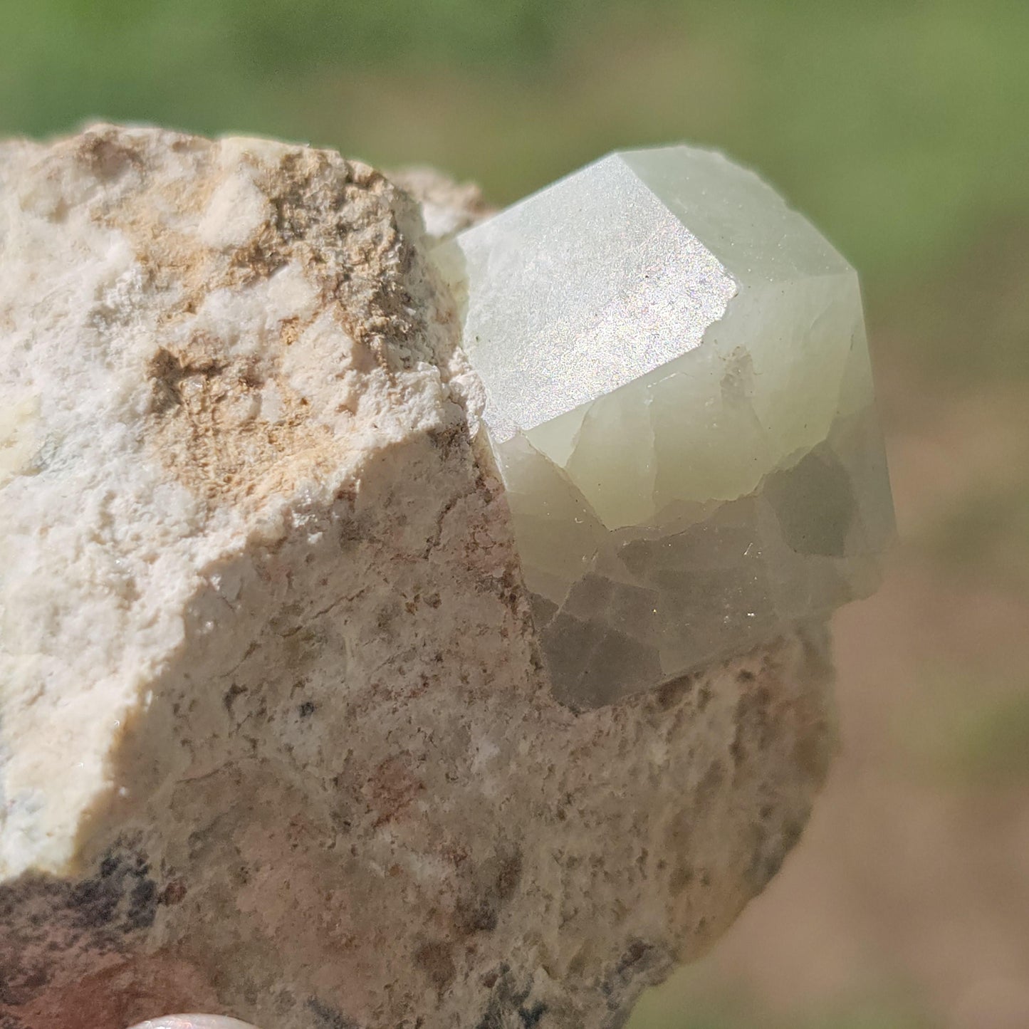 RARE USA Locale Mint Green Grossular Garnet on Matrix Rare Collector Specimen from Wah Wah Mtns Utah, Near Red Beryl Find